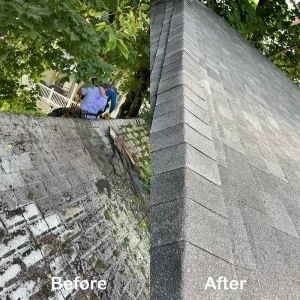 Refugios Roofing & Siding LLC